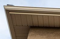 free Bridgefoot fascia quotes