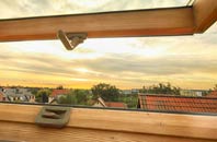 rated Bridgefoot roof window companies